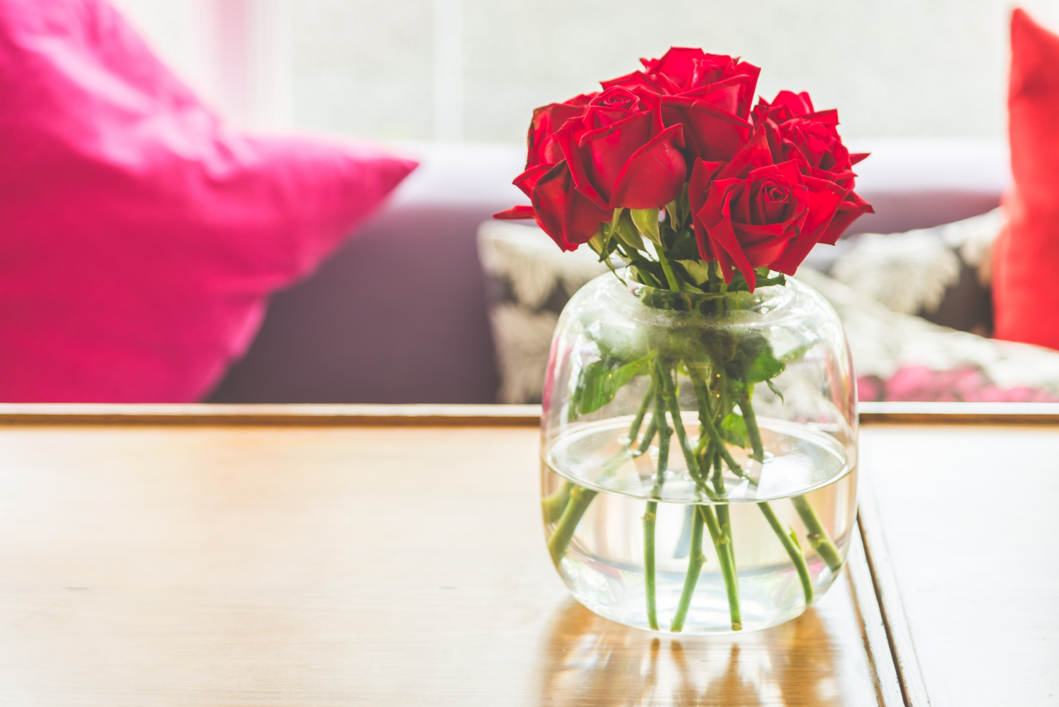7 Dicas Simples Para Conservar Seu Buquê de Rosas Por Mais Tempo