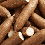 variedades de mandioca e seus usos culinários